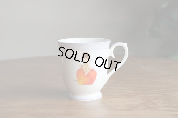 画像1: ナルミ narumi　いわさきちひろ　りんごと天使　マグカップ